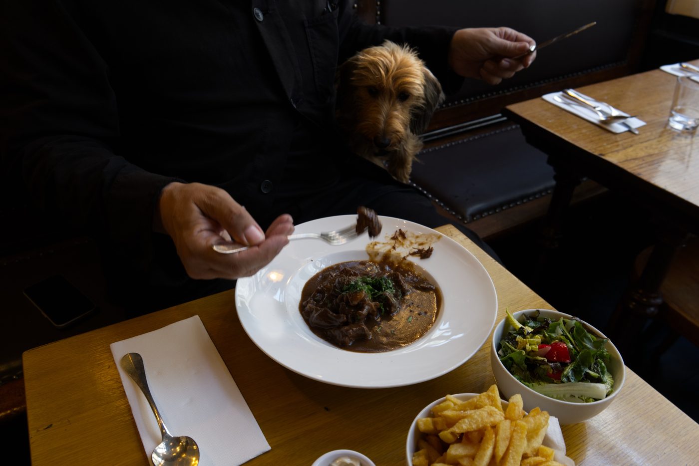 Lunchtafel met gast en hond, Borze Café Antwerpen